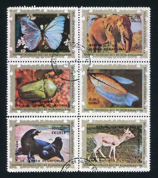 EQUATORIAL GUINEA - CIRCA 1976: stamp printed by Equatorial Guinea, shows Collection of stamps, circa 1976
