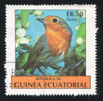 EQUATORIAL GUINEA - CIRCA 1977:  stamp printed by Equatorial Guinea, shows tropical bird, circa 1977.