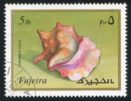 FUJEIRA - CIRCA 1991: stamp printed by Fujeira, shows shell, circa 1991