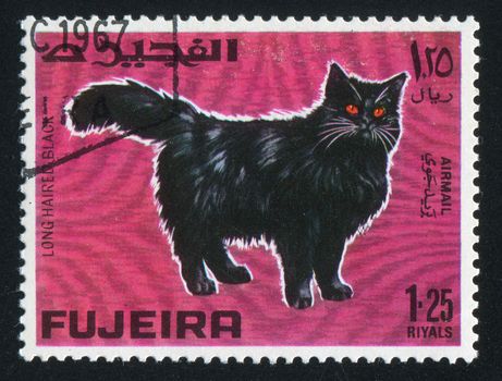 FUJEIRA - CIRCA 1972: stamp printed by Fujeira, shows cat, circa 1972