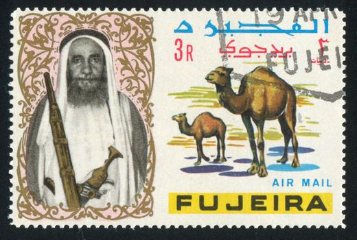FUJEIRA - CIRCA 1972: stamp printed by Fujeira, shows sheikh and camel, circa 1972