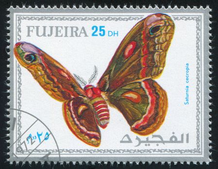 FUJEIRA - CIRCA 1972: stamp printed by Fujeira, shows butterfly, circa 1972