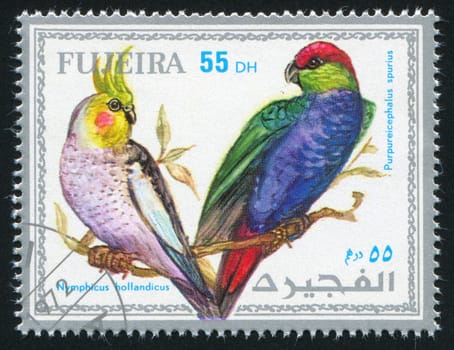 FUJEIRA - CIRCA 1972: stamp printed by Fujeira, shows tropical bird, parrot, circa 1972