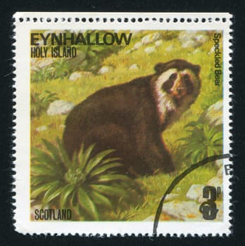 GREAT BRITAIN - CIRCA 1979: stamp printed by Great Britain, shows bear, circa 1979