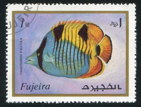 FUJEIRA - CIRCA 1991: stamp printed by Fujeira, shows fish, circa 1991
