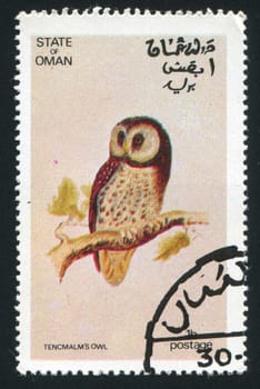 OMAN - CIRCA 1972: stamp printed by Oman, shows Tencmalm Owl, circa 1972
