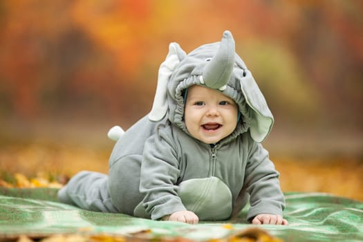 Baby boy dressed in elephant costume in autumn park