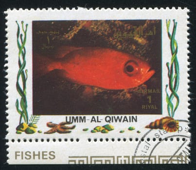 UMM AL-QUWAIN - CIRCA 1972: stamp printed by Umm al-Quwain, shows Fish, circa 1972