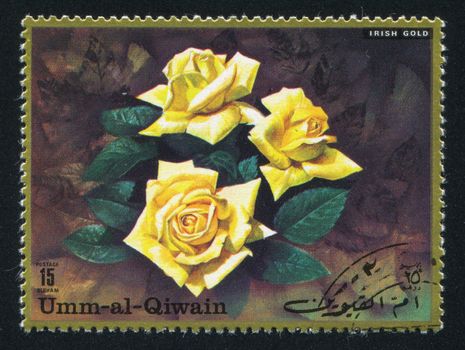 UMM AL-QUWAIN - CIRCA 1972: stamp printed by Umm al-Quwain, shows Gold Rose, circa 1972