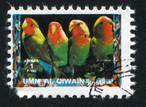 UMM AL-QUWAIN - CIRCA 1972: stamp printed by Umm al-Quwain, shows Parrots, circa 1972