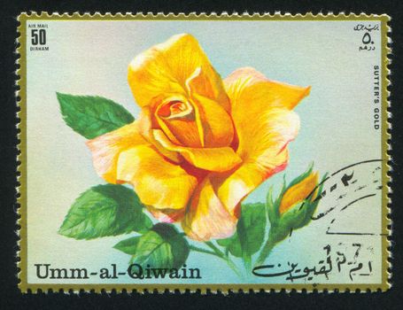 UMM AL-QUWAIN - CIRCA 1972: stamp printed by Umm al-Quwain, shows Gold Rose, circa 1972