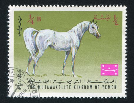 YEMEN - CIRCA 1968: stamp printed by Yemen, shows Arabian Horse, circa 1968