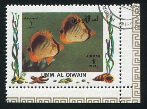 UMM AL-QUWAIN - CIRCA 1972: stamp printed by Umm al-Quwain, shows Fish, circa 1972