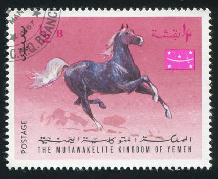 YEMEN - CIRCA 1968: stamp printed by Yemen, shows Arabian Horse, circa 1968