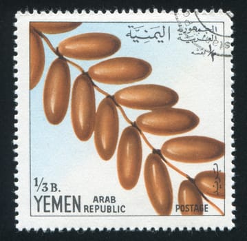 YEMEN - CIRCA 1967: stamp printed by Yemen, shows Dates, circa 1967