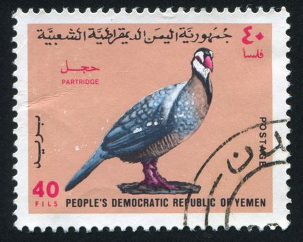 YEMEN - CIRCA 1971: stamp printed by Yemen, shows Partridge, circa 1971