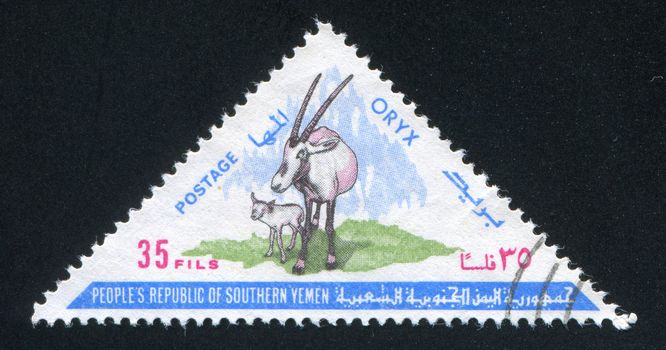 YEMEN - CIRCA 1970: stamp printed by Yemen, shows Arabian Oryx, circa 1970