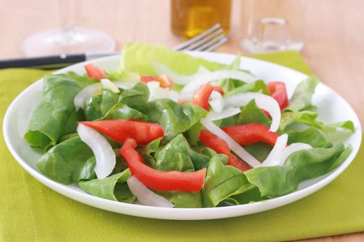 vegetable salad in plate