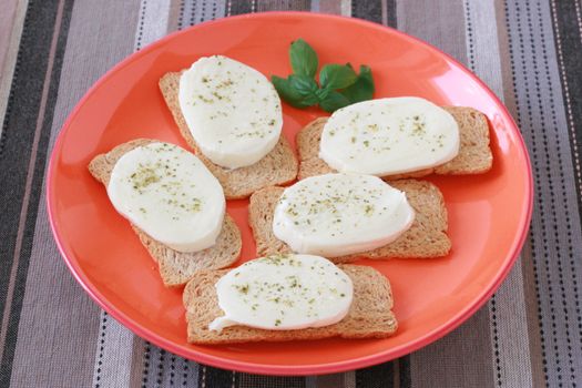 cheese mozzarella with toasts
