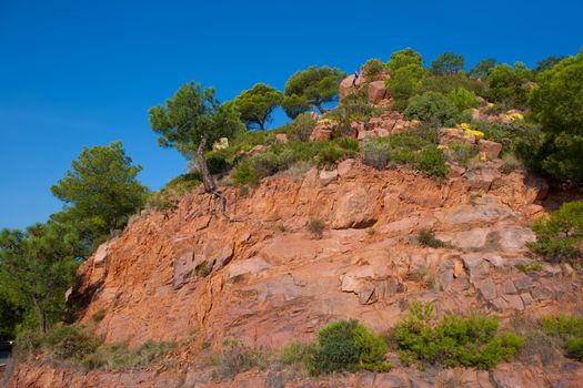 Castellon Desierto de las Palmas desert red mountains with pines at Spain