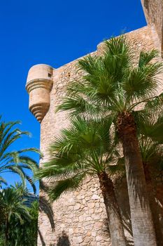 Elche Elx Alicante el Palmeral Palm trees park and Altamira Palace Spain