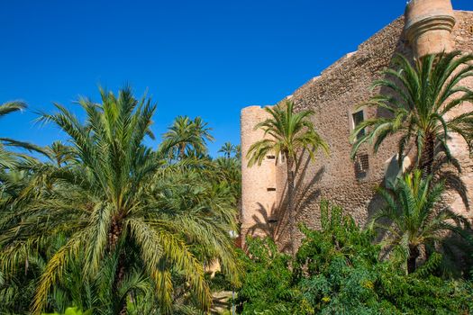 Elche Elx Alicante el Palmeral Palm trees park and Altamira Palace Spain