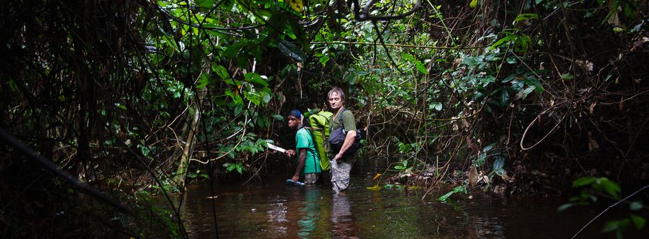 JUNGLE, CONGO, AFRICA - OCTOBER 2: The photographer in the jungle goes through a bog. October 2, 2013, Jungle, Republic of Congo. Africa. 