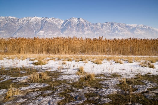 Contrast between valley landscape and rugged mountaintops