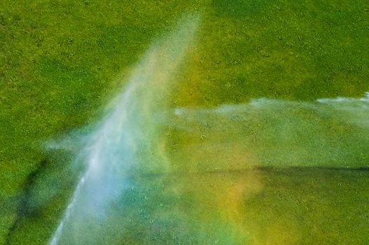 lawn in summer getting watered by a sprinkler