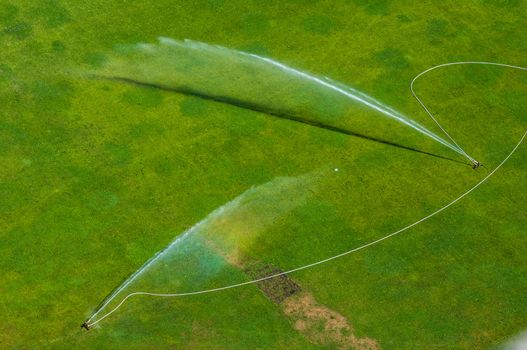 lawn in summer getting watered by a sprinkler