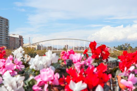 Valencia puente de Exposicion from city flowers bridge in Spain