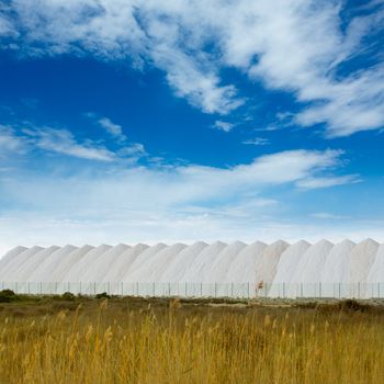 Saltworks in Alicante province Santa Pola Valencian Community at spain