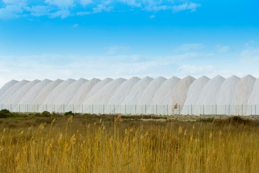 Saltworks in Alicante province Santa Pola Valencian Community at spain