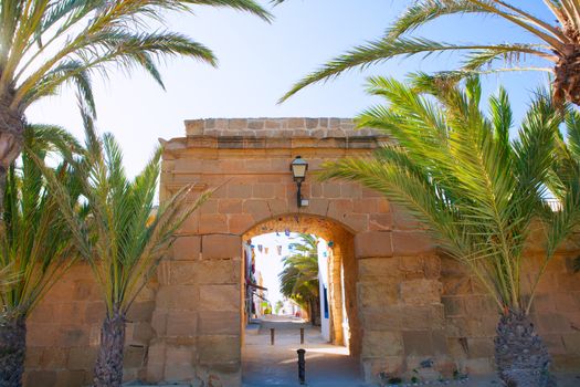 Tabarca island in Alicante Valencian Community of Spain