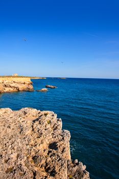 tabarca island alicante mediterranean blue sea in spain