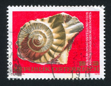 AUSTRIA - CIRCA 1976: stamp printed by Austria, shows Ammonite, circa 1976