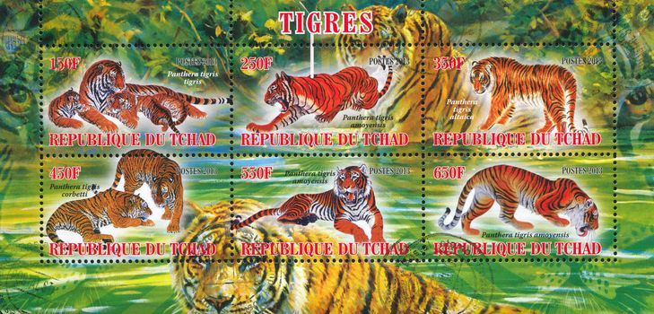 CHAD - CIRCA 2013: stamp printed by Chad, shows tiger, circa 2013