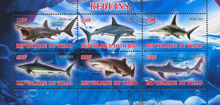 CHAD - CIRCA 2013: stamp printed by Chad, shows shark, circa 2013