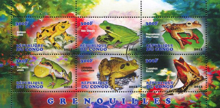 CONGO - CIRCA 2012: stamp printed by Congo, shows frog, circa 2012