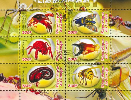 CONGO - CIRCA 2010: stamp printed by Congo, shows insects, circa 2010