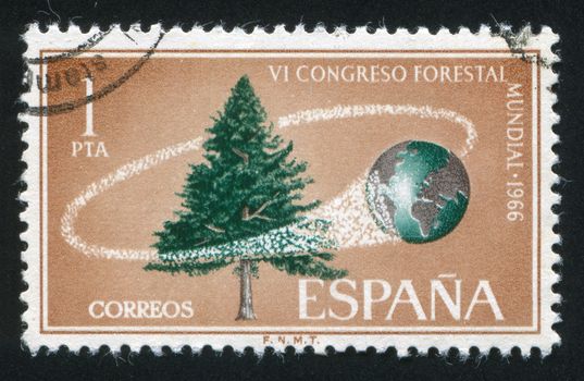 SPAIN - CIRCA 1966: stamp printed by Spain, shows Tree and Globe, circa 1966