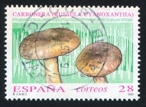 SPAIN - CIRCA 1993: stamp printed by Spain, shows Mushrooms, circa 1993