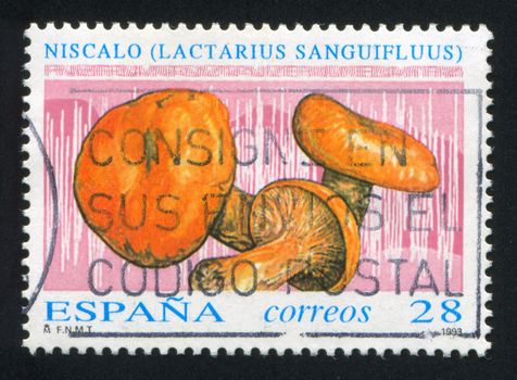 SPAIN - CIRCA 1993: stamp printed by Spain, shows Russula cyanoxantha, circa 1993