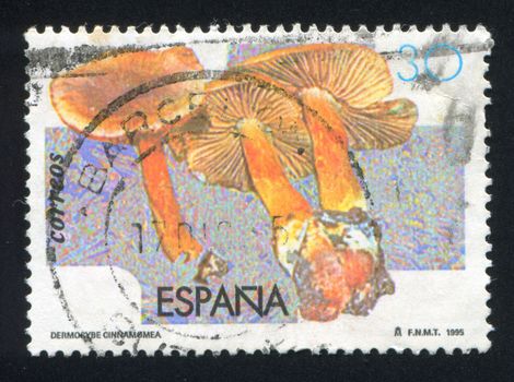SPAIN - CIRCA 1995: stamp printed by Spain, shows Mushrooms, circa 1995