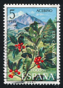 SPAIN - CIRCA 1973: stamp printed by Spain, shows Holly, circa 1973