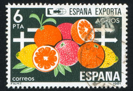 SPAIN - CIRCA 1981: stamp printed by Spain, shows Exports, Fruits, circa 1981