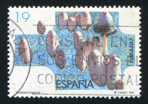 SPAIN - CIRCA 1995: stamp printed by Spain, shows Mushroom, Coprinus Comatus, circa 1995