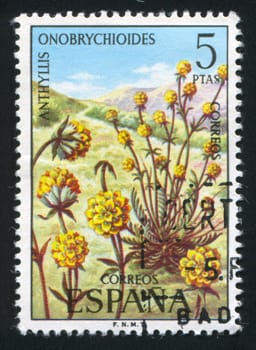 SPAIN - CIRCA 1974: stamp printed by Spain, shows Anthyllis Onobrychioides, circa 1974