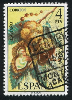 SPAIN - CIRCA 1985: stamp printed by Spain, shows Chestnut, circa 1985