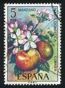 SPAIN - CIRCA 1975: stamp printed by Spain, shows Apple Tree, circa 1975